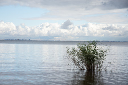 Dnieper river in Dnipro region, Ukraine.の写真素材