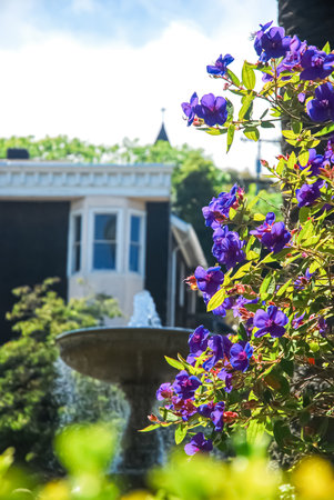 Flower garden with fountain and house in backgroundの写真素材