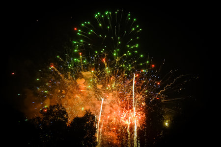 Colorful fireworks on the black sky background. New Year celebration.の写真素材