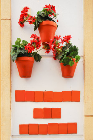 Flowers in pots on the white wall of the building in Thailandの写真素材