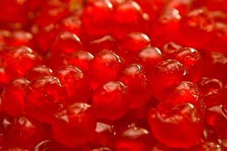 Dried cherry, focus in the middleの写真素材