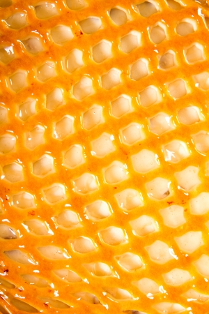 Cheese pie shot from aboveの写真素材