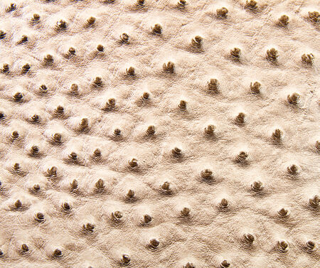 Ostrich leather patch in beige color