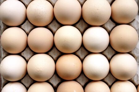 A lot of eggs in a carton ready for sale
