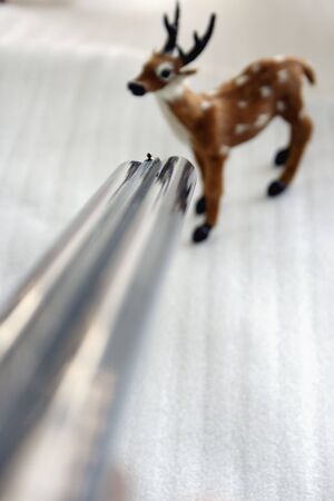 Deer Hunterの写真素材