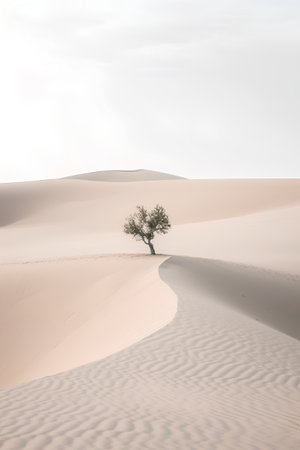 Lonely tree in the sand dunes of the Sahara desertの素材