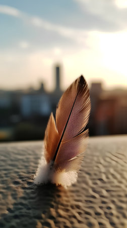 feather of a bird on a background of the city at sunsetの素材