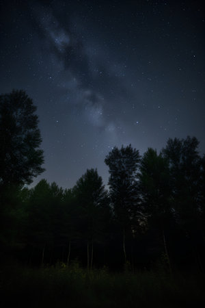 Night sky with stars and milky way over the forest. Long exposure.の素材