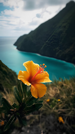 Yellow hibiscus flower in front of turquoise seaの素材