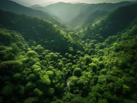 Aerial view of a beautiful green forest with a small waterfall in the middleの素材