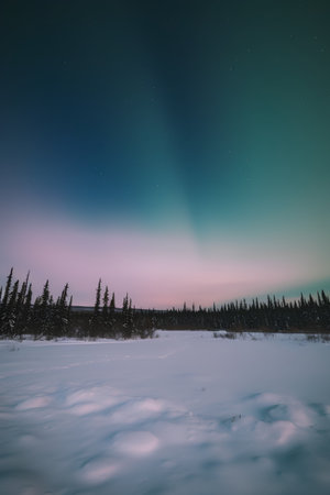 Northern lights in the night sky over the snowy taiga in winterの素材