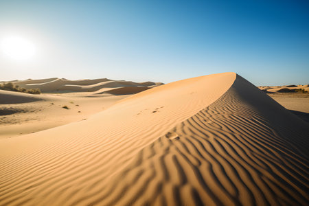 Desert sand dunes in the Sahara desert, Morocco, Africaの素材