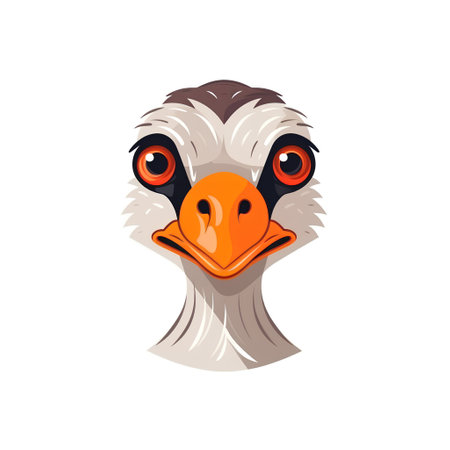 Ostrich head vector illustration isolated on white background. Emoji face.の素材