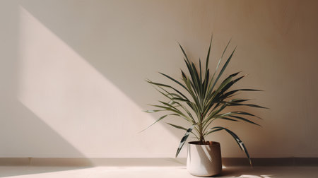 plant in vase on beige wall background with shadow from sunlightの素材
