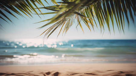 Coconut palm leaves on sandy beach with sea and sky backgroundの素材
