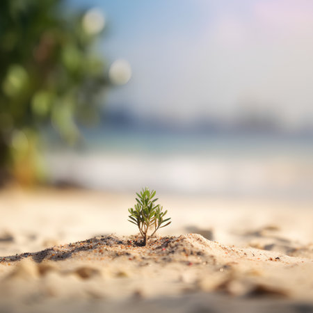 Small tree growing on the beach with bokeh background. Nature conceptの素材