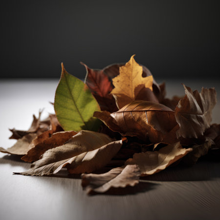 Autumn leaves on a wooden table with copy space. Autumn background.の素材