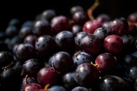 Black grapes on a black background. Selective focus. Shallow depth of field.の素材