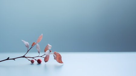 Autumn composition. Branch with leaves and berries on a blue background.の素材