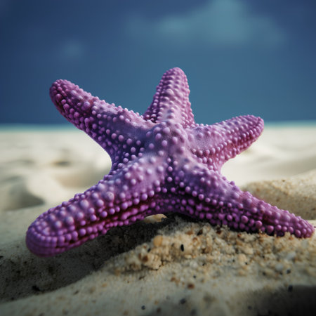 Starfish on the beach with blue sky background. Toned.の素材