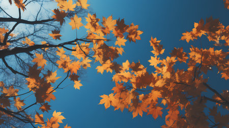 Autumn maple leaves on a blue sky background. EPS 10 vector file included