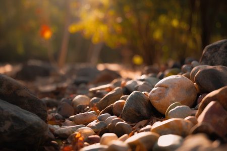 Stones on the ground in the autumn forest. Beautiful nature backgroundの素材