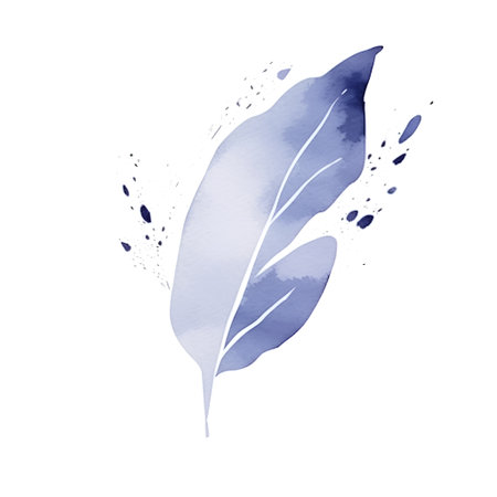 Watercolor feather on white background. Vector illustration for your design.の素材