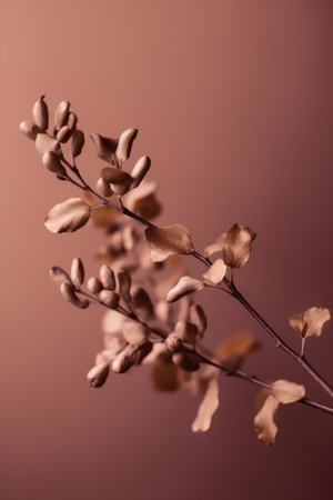 Branch with leaves on a brown background. Place for text.の素材