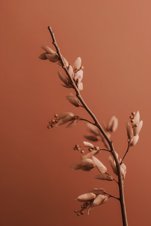 Branch with flowers on a brown background. Floral background.の素材