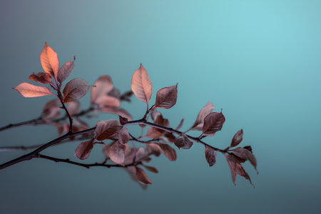 Autumn branch with red leaves on a blue background. Vintage style.の素材