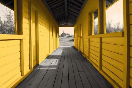 Yellow wooden cabins in a row on the beach of the Baltic Seaの素材