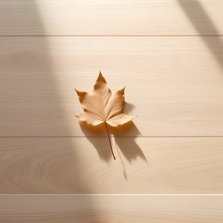 Maple leaf on wooden background with shadow from the window and sunlightの素材