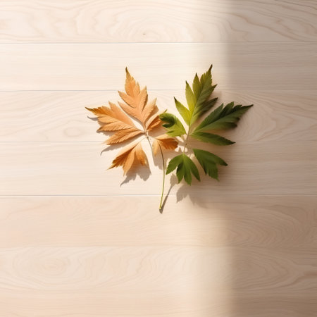 Autumn leaves on wooden background with copy space. Flat lay.の素材