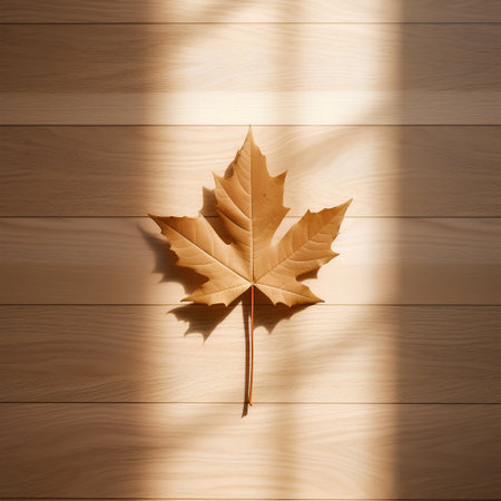 Autumn maple leaf on wooden background with sunlight. Flat lay, top viewの素材