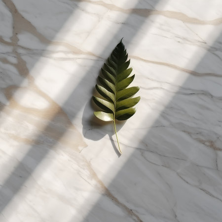 Green leaf on white marble background with shadow from the window. Minimal style.の素材