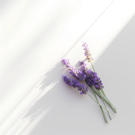 Lavender flowers on white background. Flat lay, top viewの素材