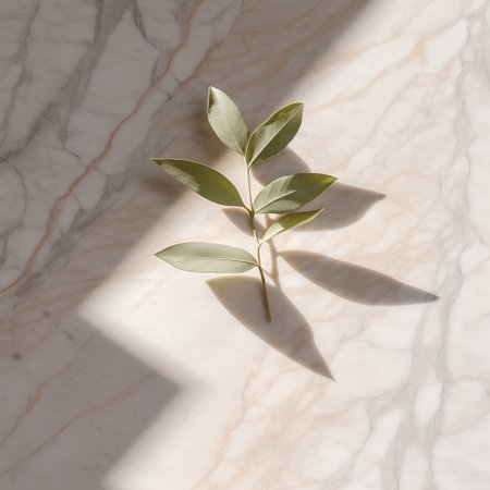 Eucalyptus leaves on white marble background with hard shadowの素材