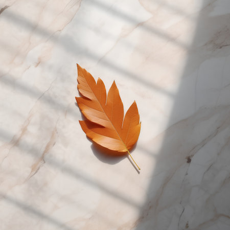 Orange autumn leaf on white marble background with shadows. Flat lay, top viewの素材