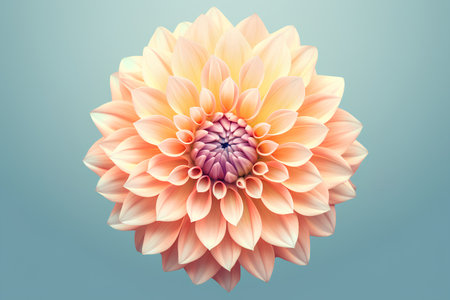 Orange dahlia flower isolated on blue background. Vector illustration.の素材