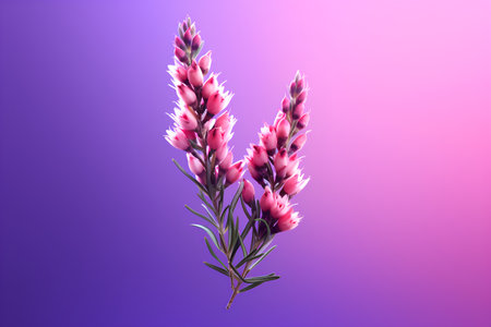 Beautiful pink flower on a purple background. 3d illustration.の素材