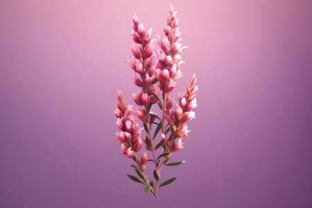 Beautiful pink flower isolated on purple background. Watercolor illustration.の素材