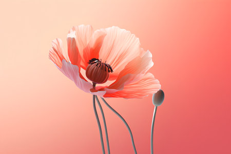 poppy flower on a pink background. 3d vector illustration.の素材