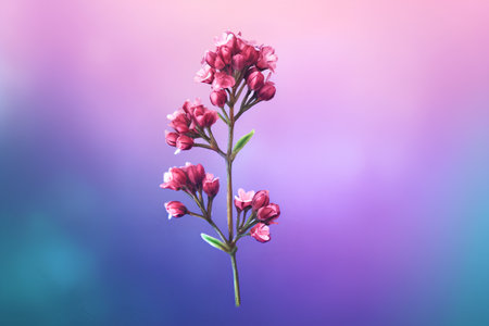 Watercolor illustration of pink wildflowers on a colorful background.の素材
