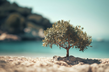 Olive tree growing on a sandy beach with turquoise sea in the backgroundの素材