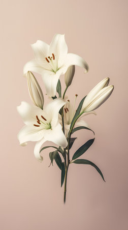 White lily flowers bouquet on pastel background. Minimal floral concept.の素材