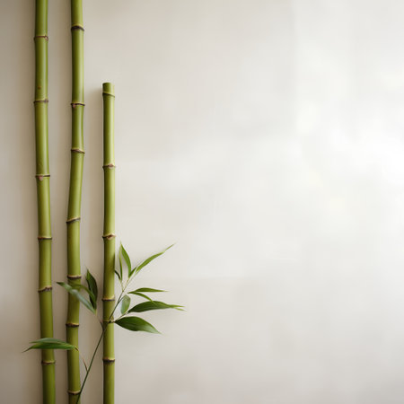 bamboo on grunge background with space for text or image.の素材