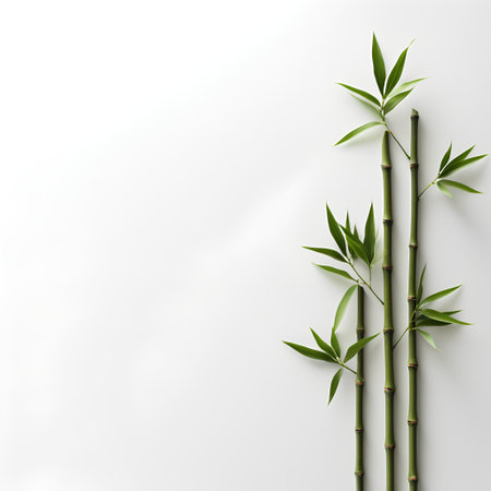 Green bamboo stems on white background. Flat lay, top view.の素材