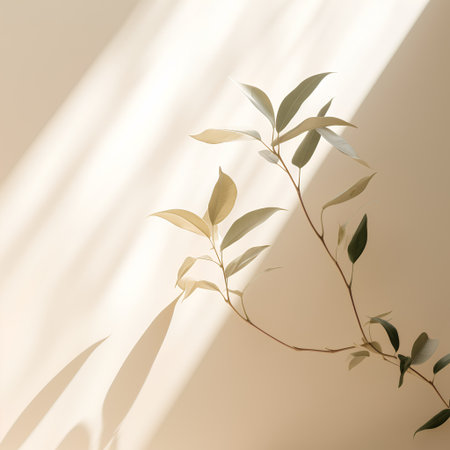 Creative layout made of leaves and shadows on beige background. Minimal concept.の素材