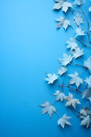 Blue autumn maple leaves on blue background. Flat lay, top view.の素材