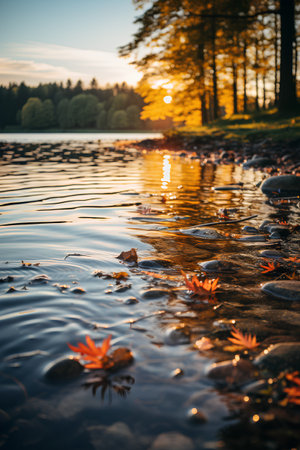 Autumn landscape. Lake in the forest at sunset. Beautiful autumn landscape.の素材